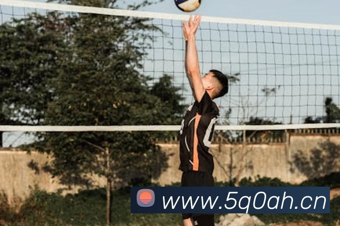 九游网页版登录界面平台生态图